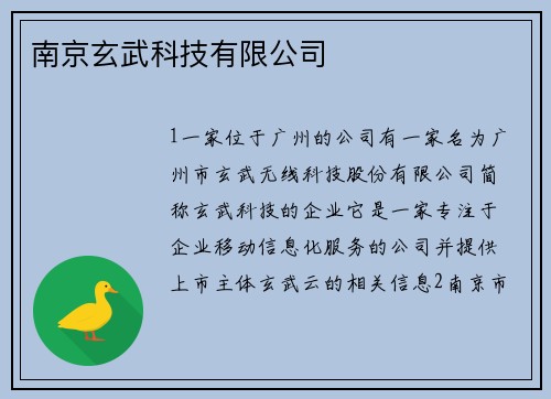 南京玄武科技有限公司